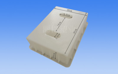 嘉兴丽臣塑业 专业提供2孔下水盖板雨水盖塑料模具